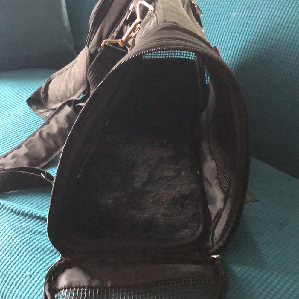 Backpack Pet Carrier - Picture 4 of 8